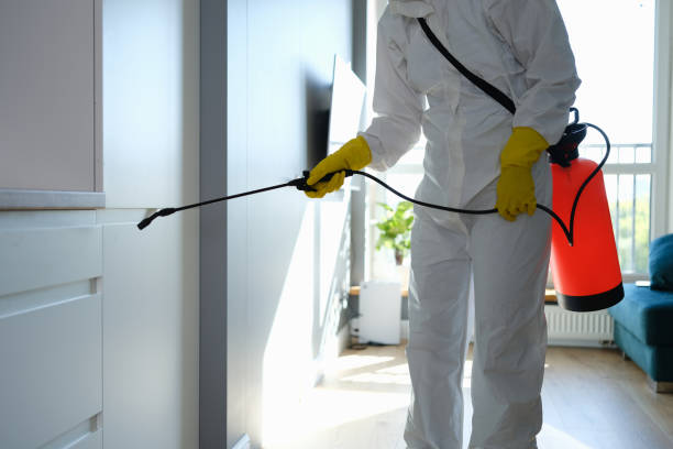 Best Attic Mold Removal  in Coral Springs, FL