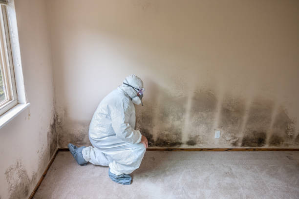Best Crawl Space Mold Removal  in Coral Springs, FL